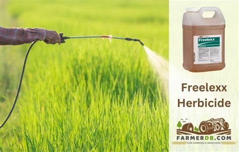 freelexx|Freelexx herbicide: How to Use It, Mix It, and Which Weeds It Kills